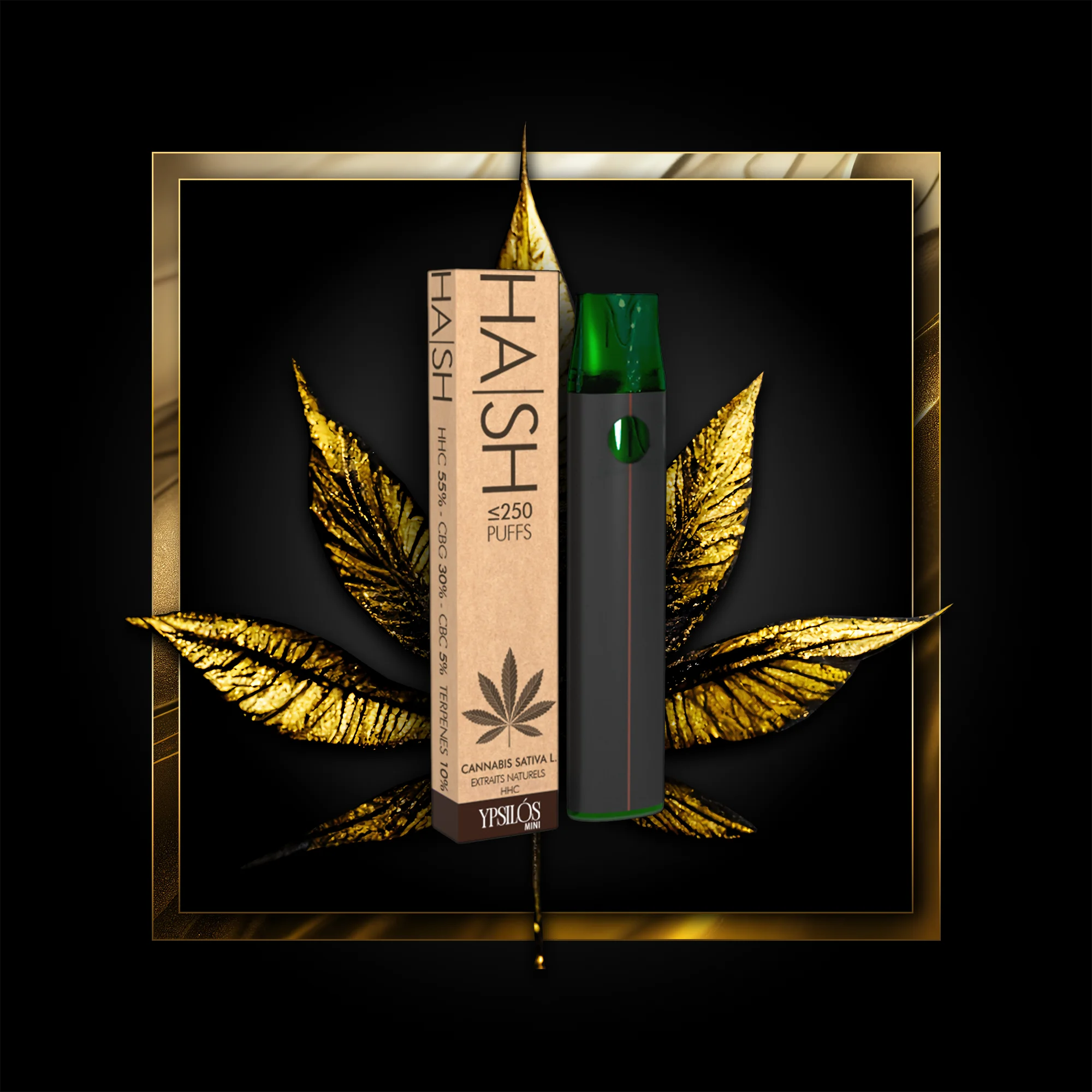 Hash (użu wieħed) 250 puffs - 0.50 ml. HHC