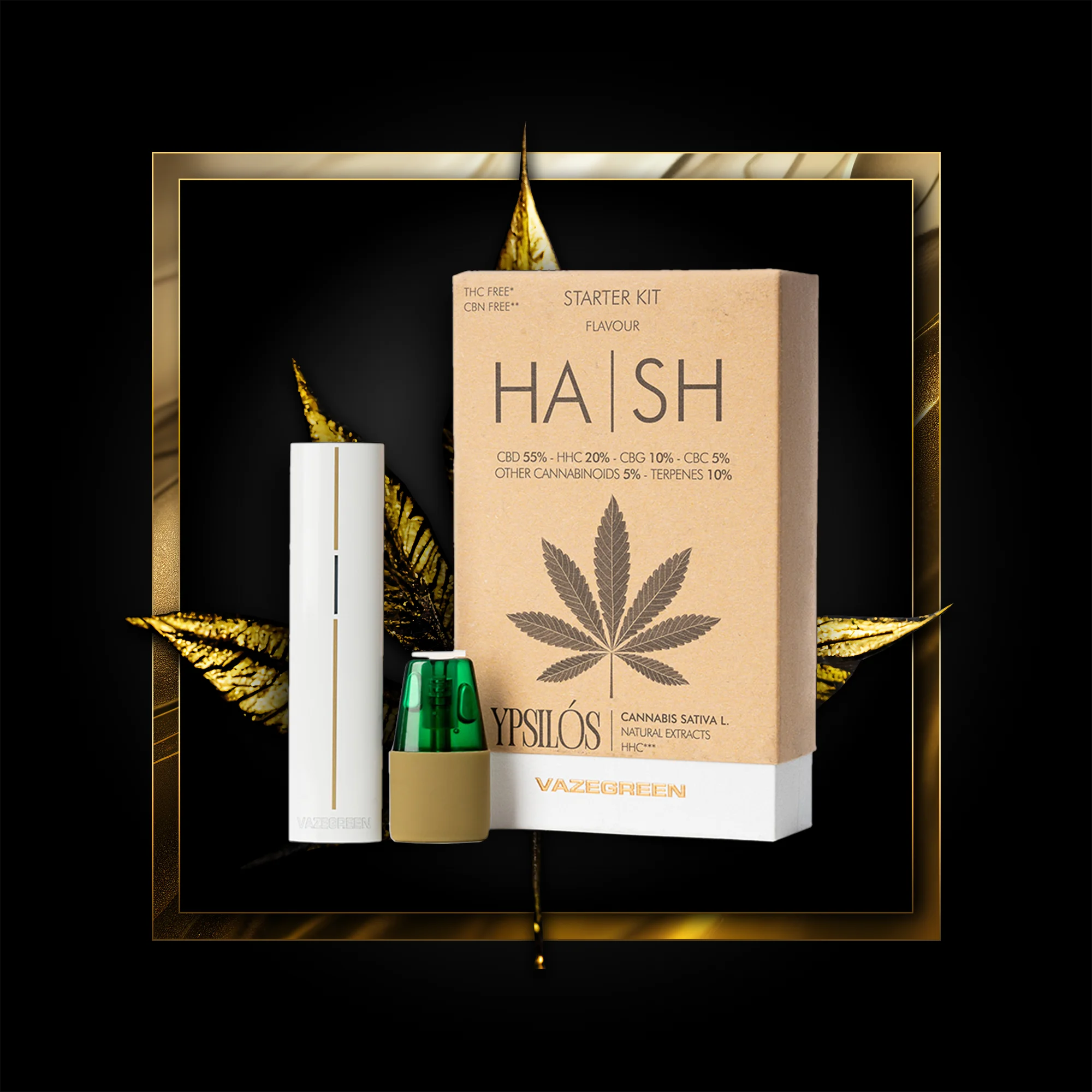 Pinna Hash (kit tal-bidu) 500 puffs - 1.00 ml. HHC